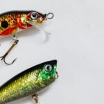 Dugninės – kokios dugninės žvejybai yra efektyviausios Lietuvoje?